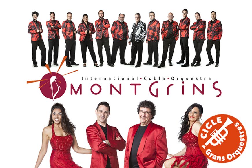 Orquestra Montgrins