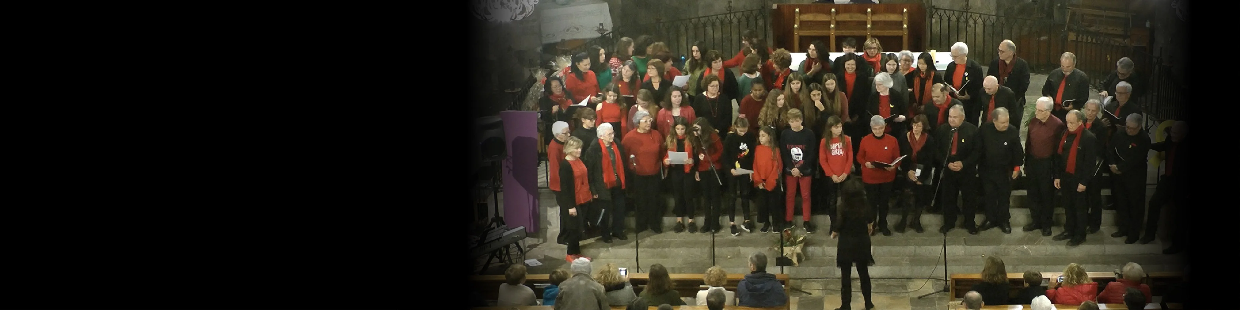 Cor Anselm Viola
