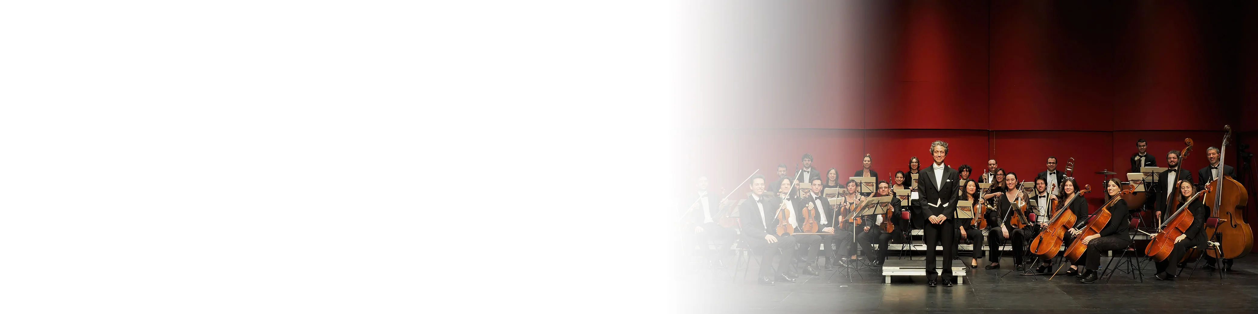 CONCERT CAP D'ANY